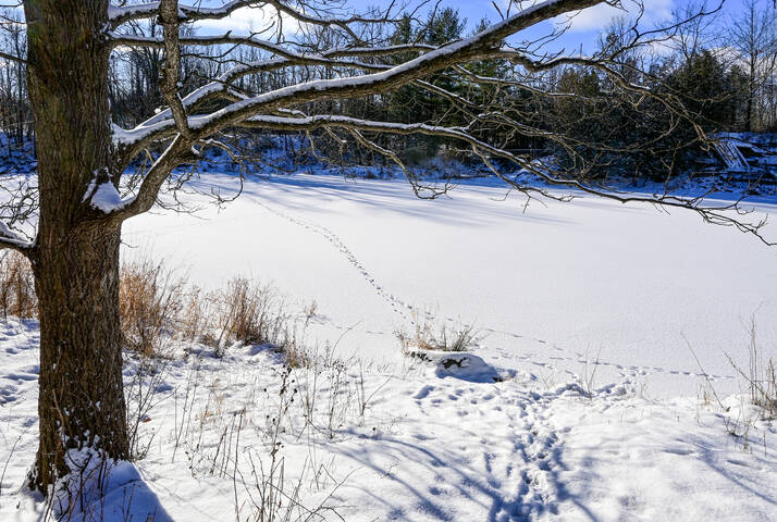 Мороз и солнце...