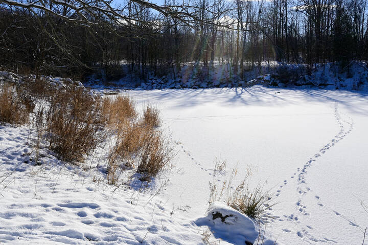 Мороз и солнце...