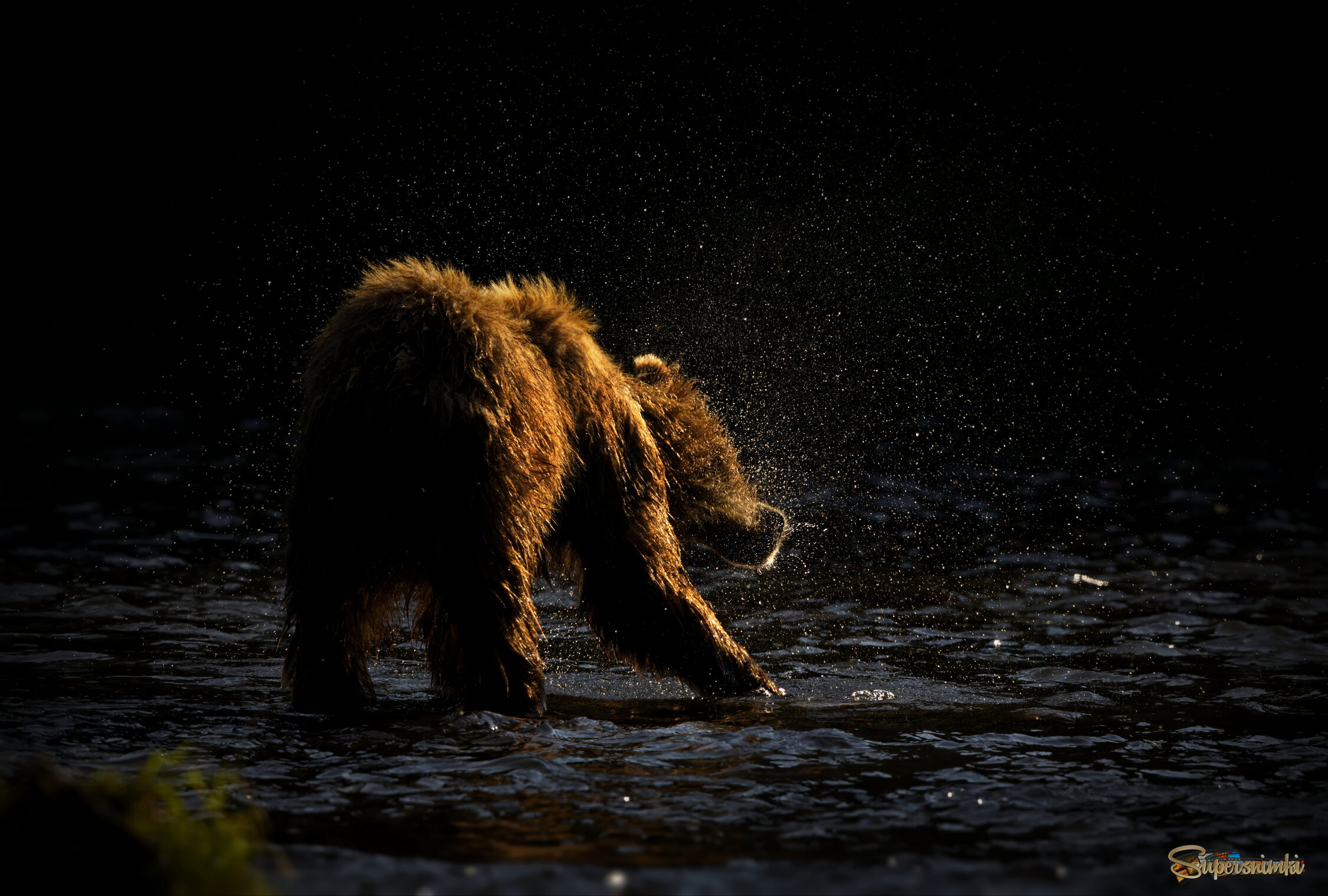 В вечернем свете