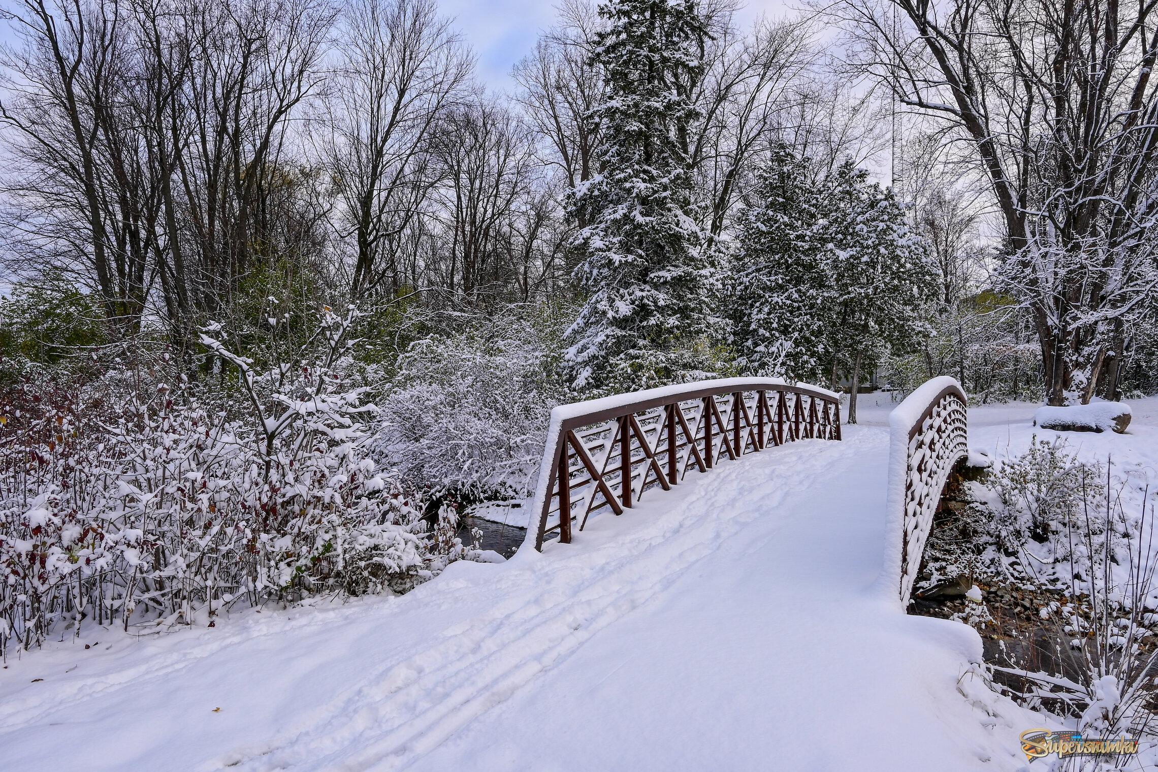 Неровная тропа