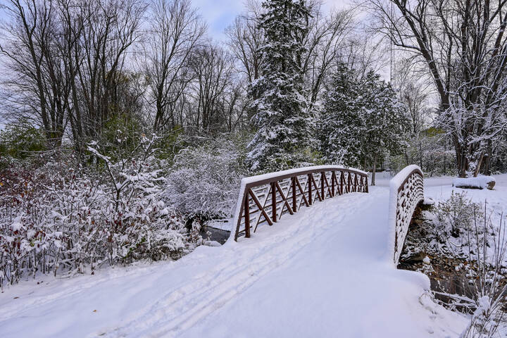 Неровная тропа
