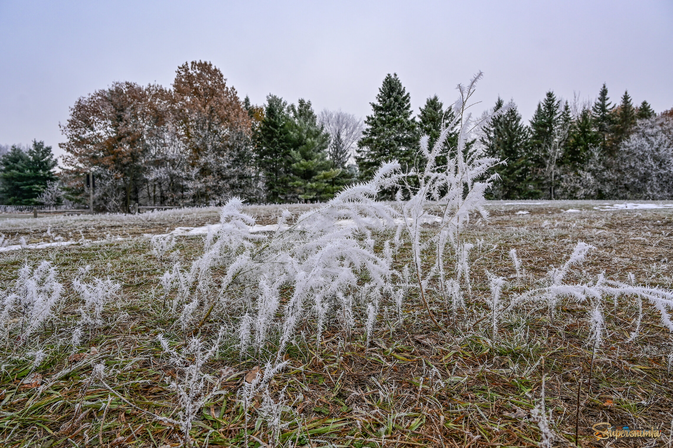 Седой одёжкою покрыты