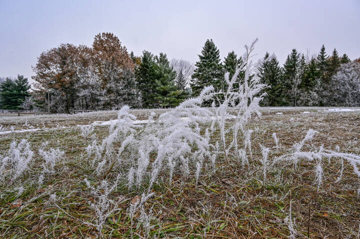 Седой одёжкою покрыты