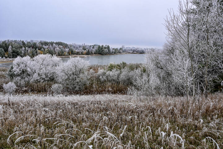 Седой одёжкою покрыты