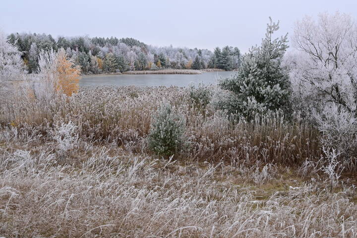 Седой одёжкою покрыты
