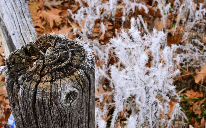 Седой одёжкою покрыты