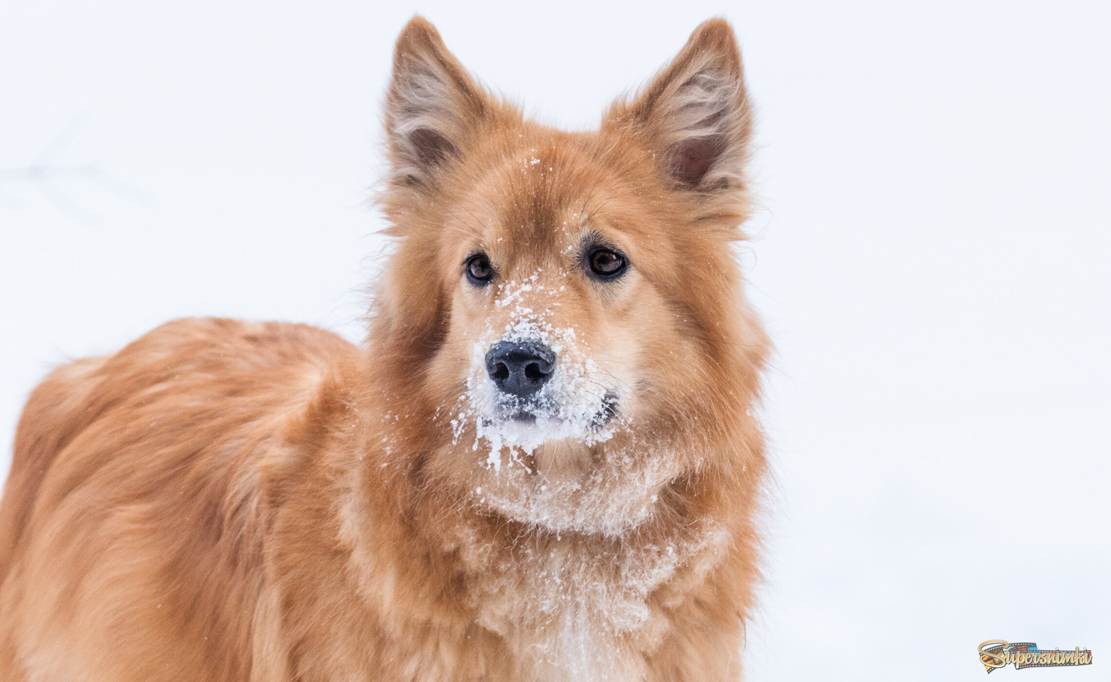 Морозный день.