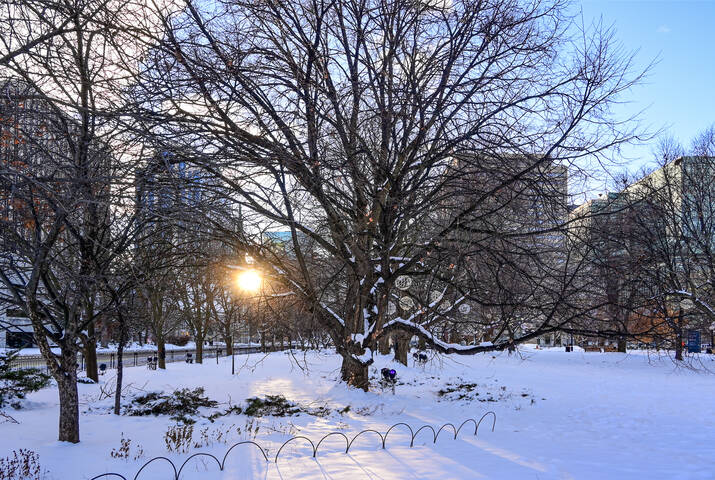 Просто вечерок на морозе