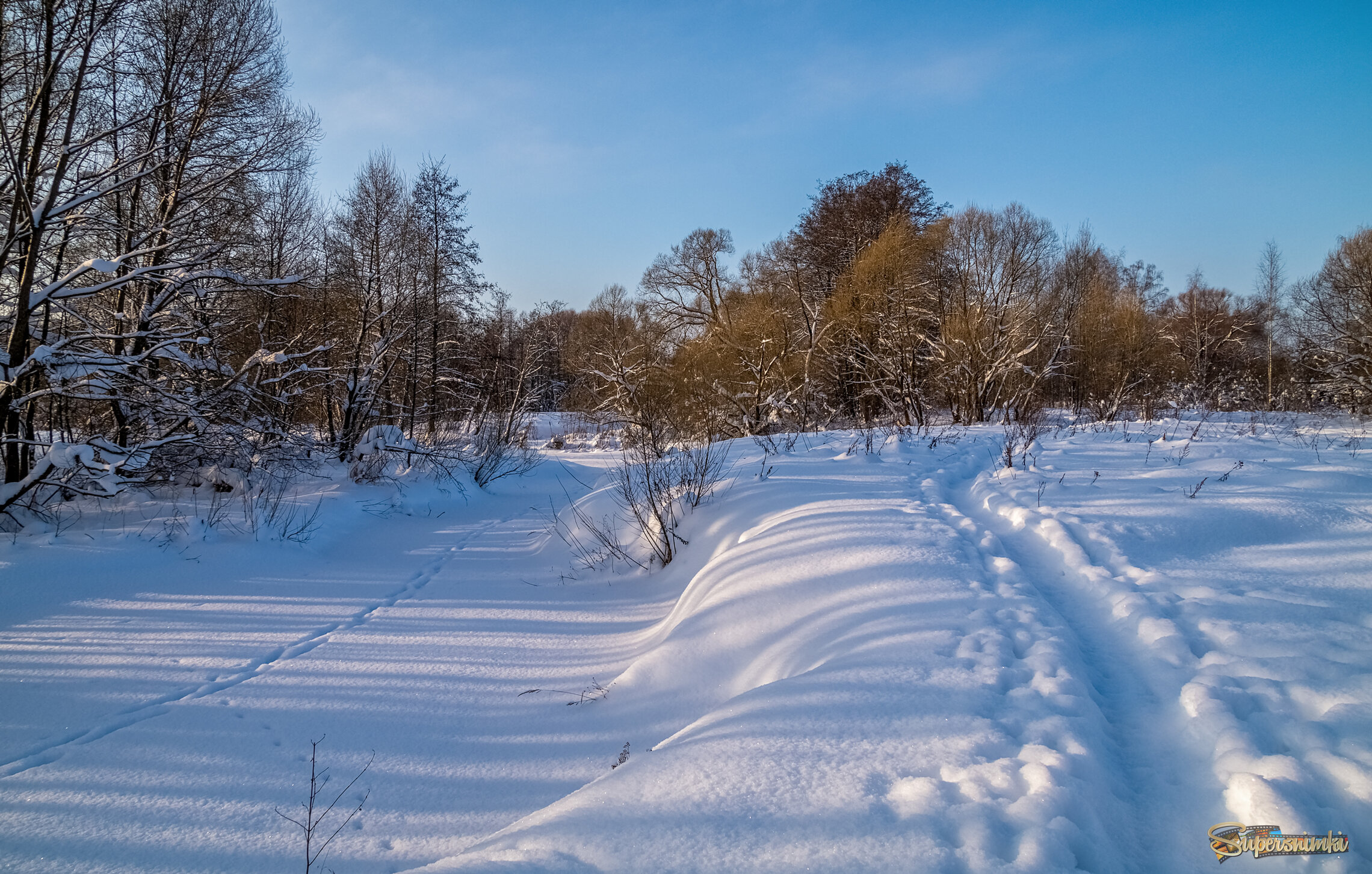 Морозное утро 