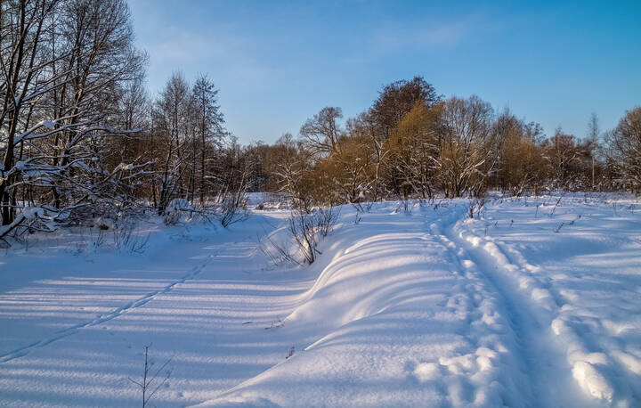 Морозное утро 