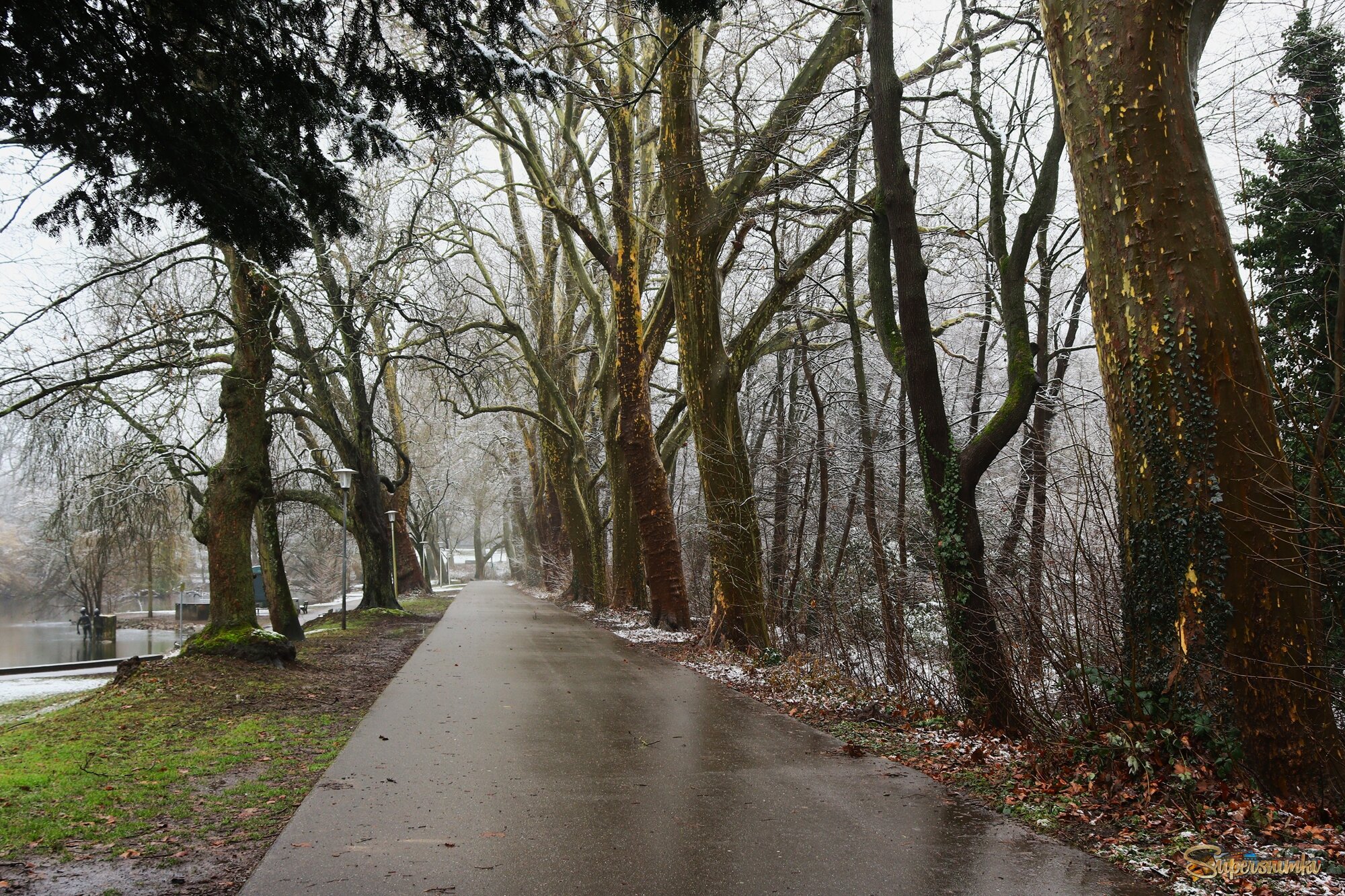 Непогода нынче в моде