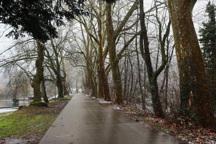 Непогода нынче в моде