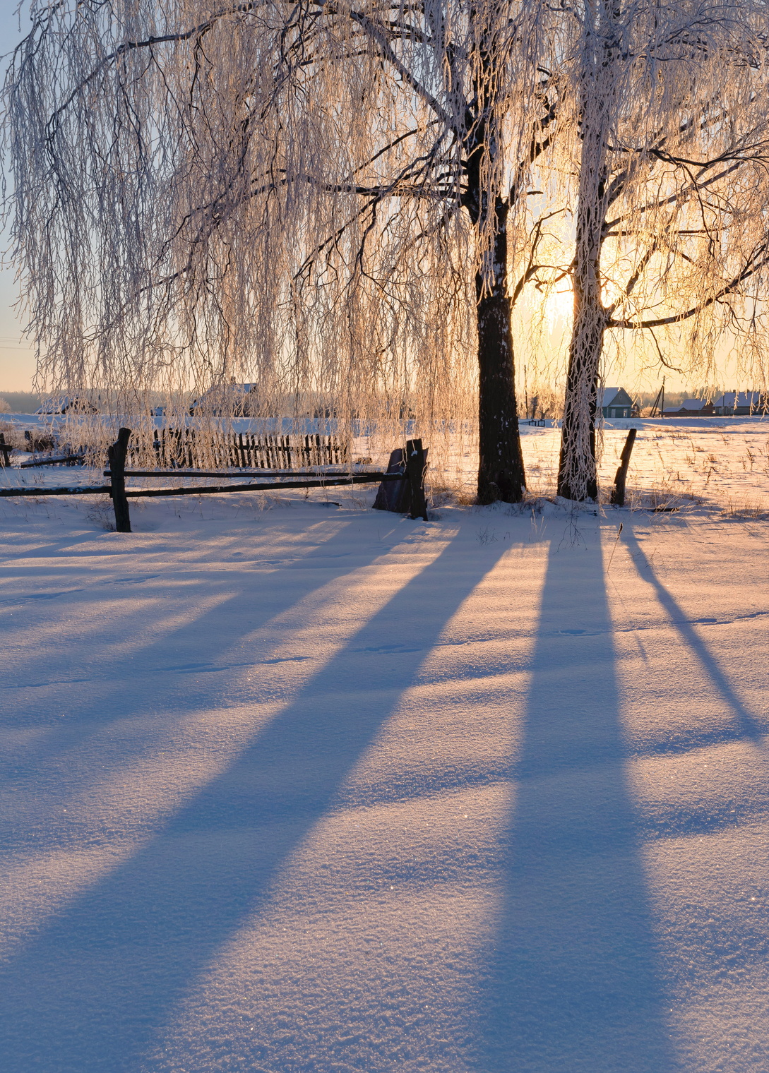 Деревенские зарисовки