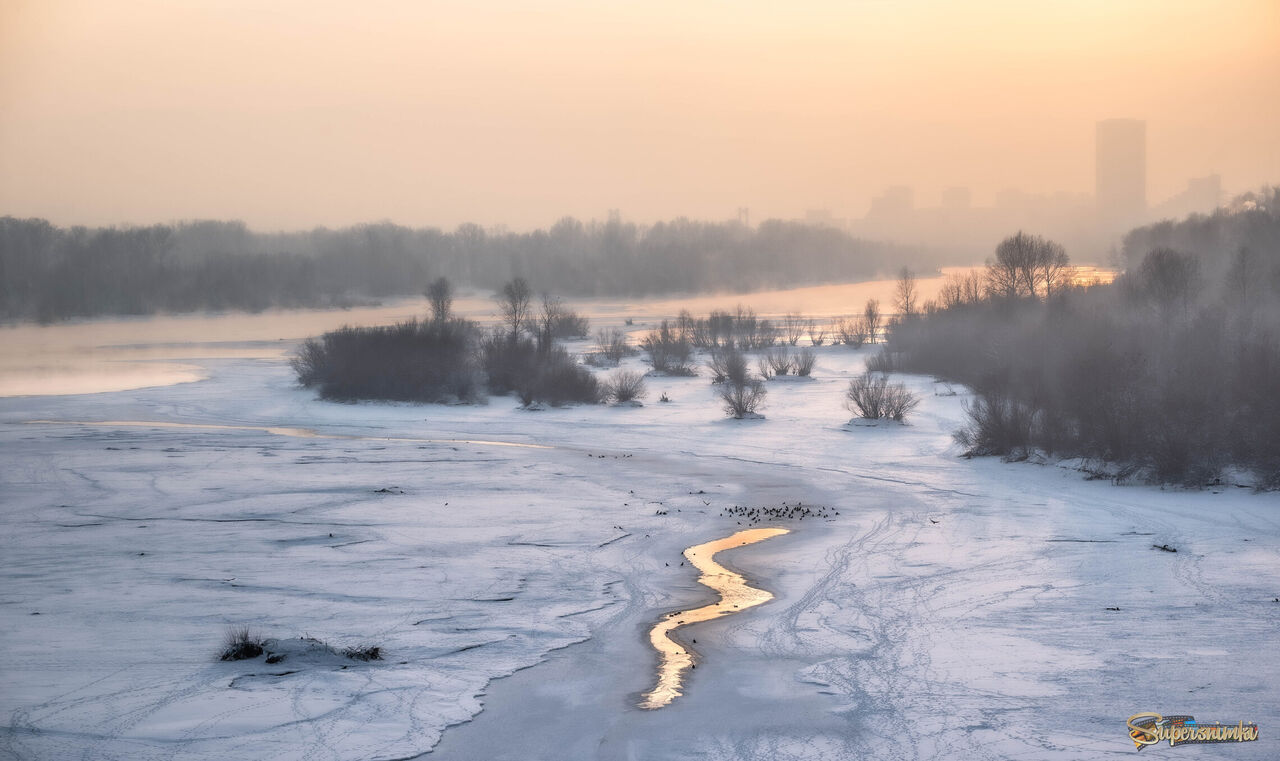 Птичий "водопой".