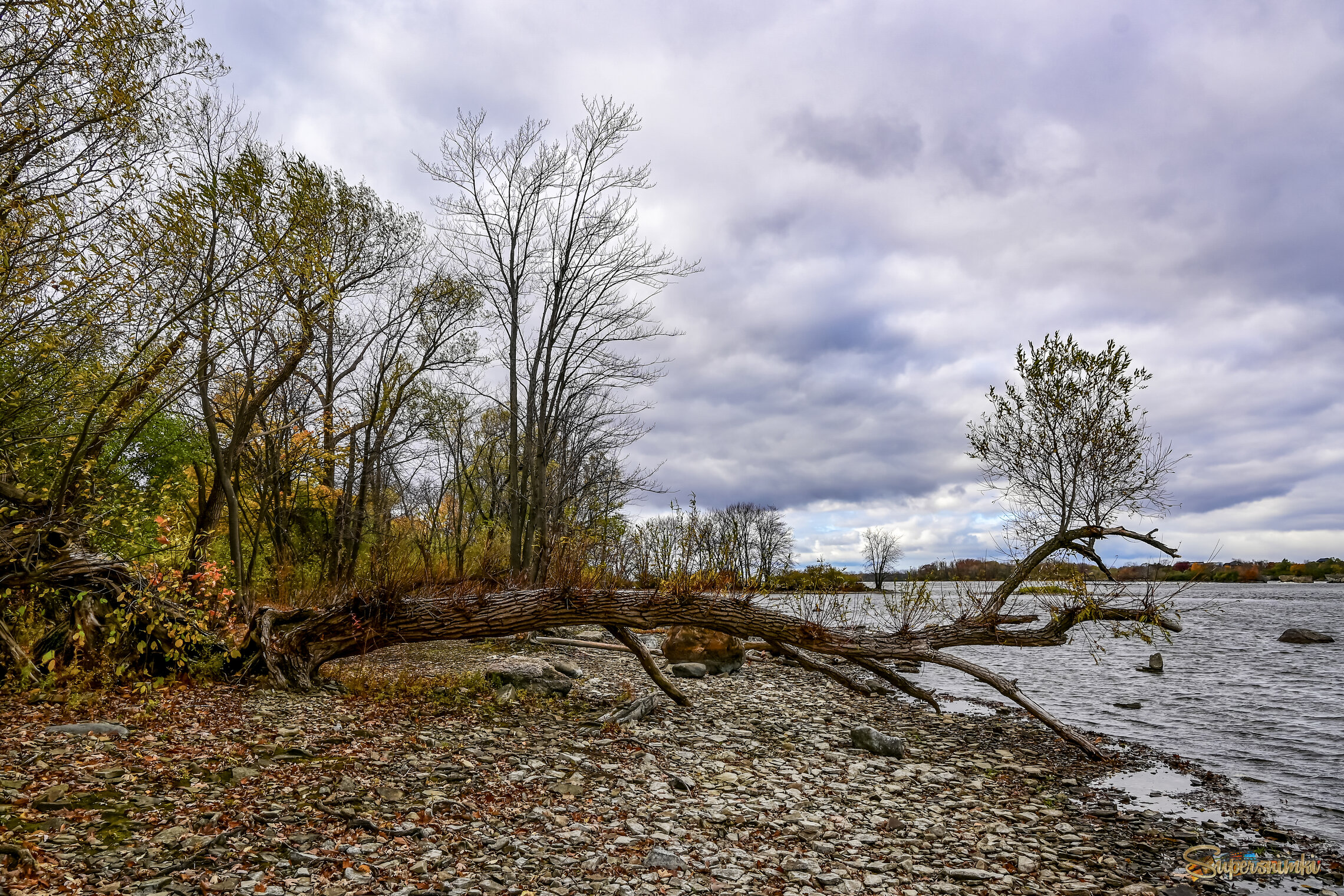 Древние берега
