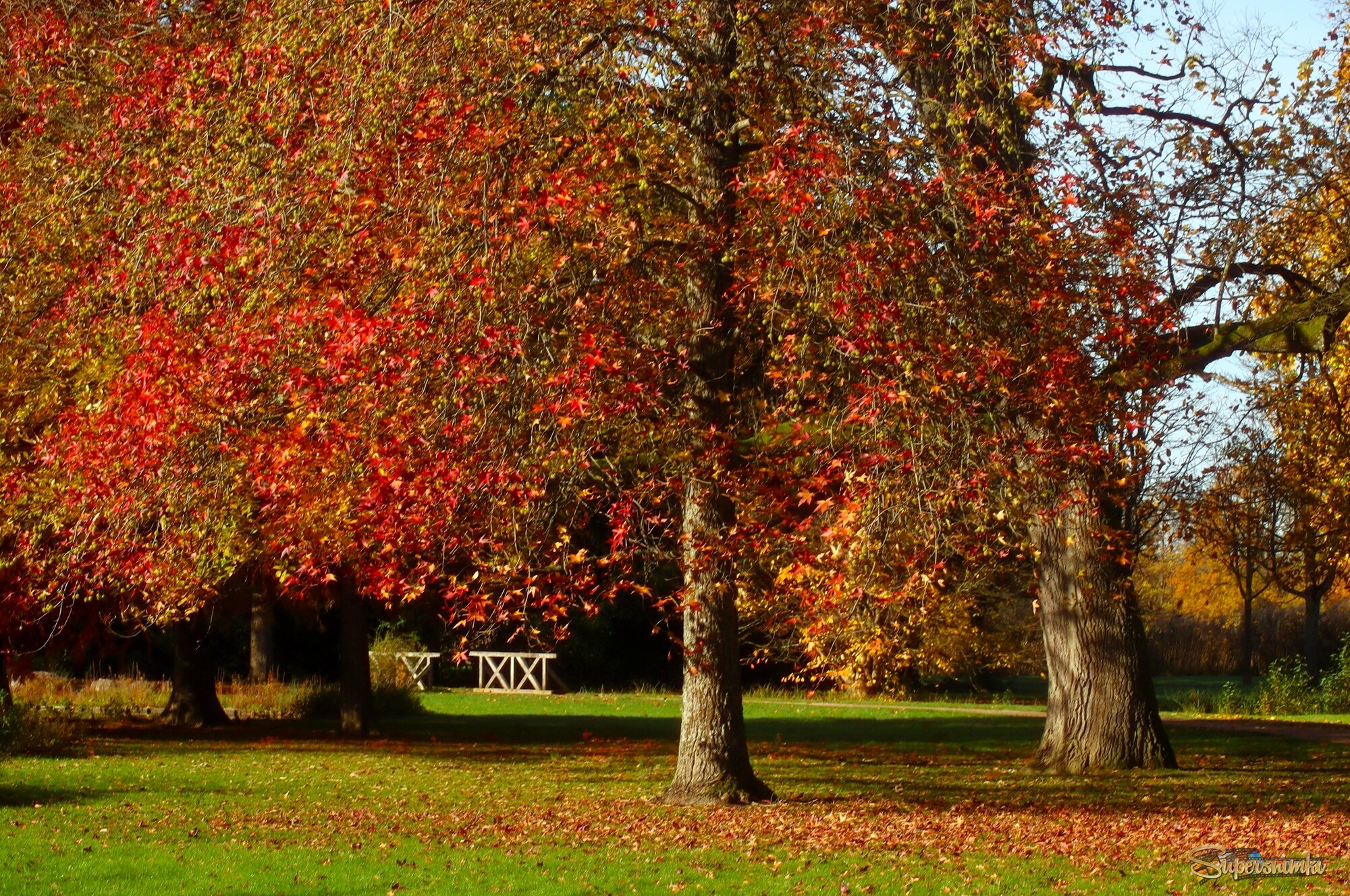 В осеннем парке