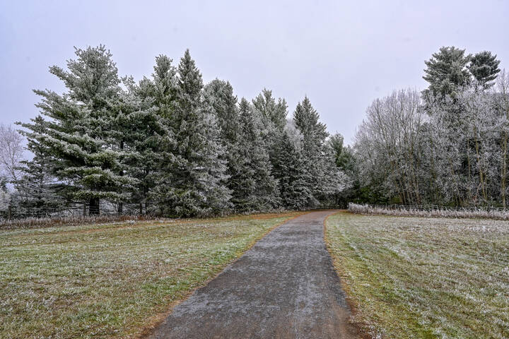 Площадка выгула собак