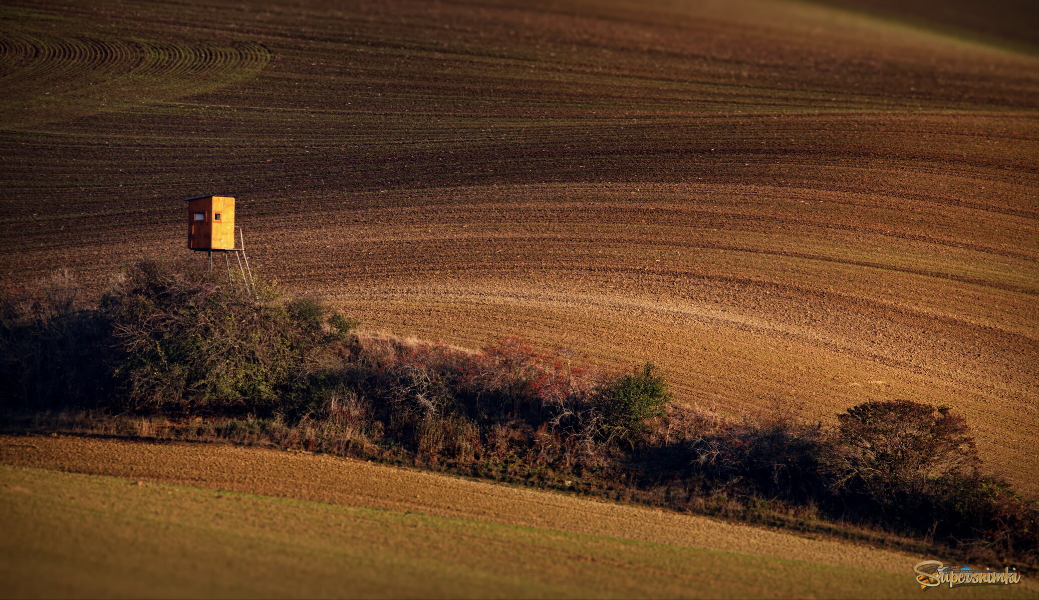 Волнистость