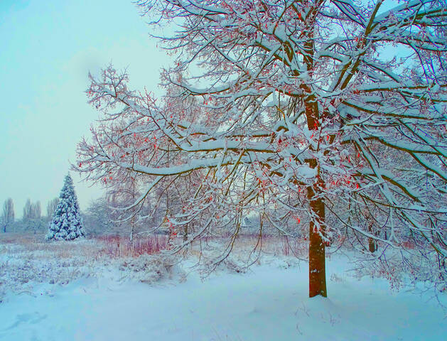 ***