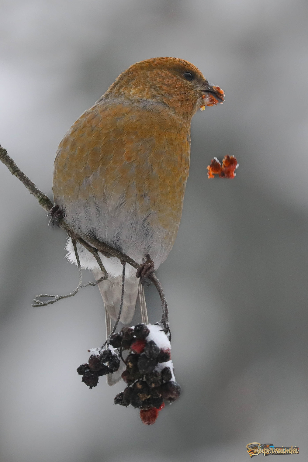 Отвлеклась на секунду...