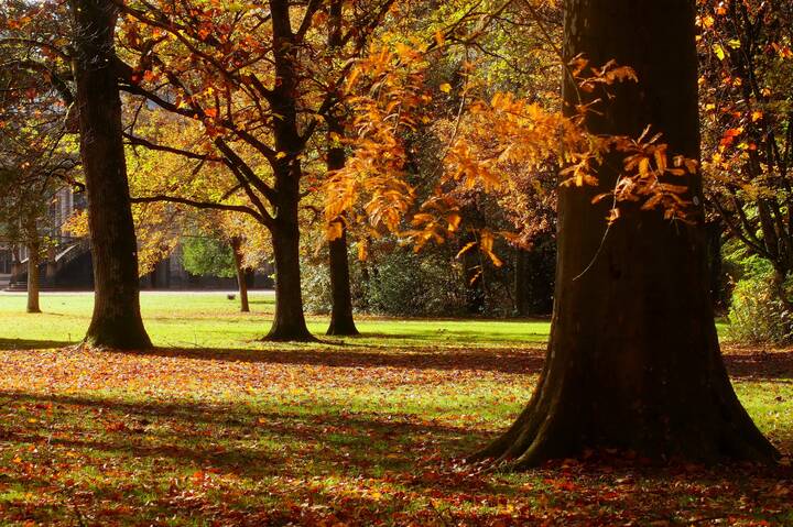 Осенний день