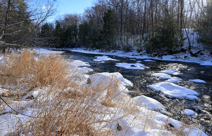 Скользя средь солнца и теней