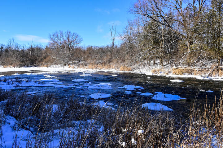 Скользя средь солнца и теней