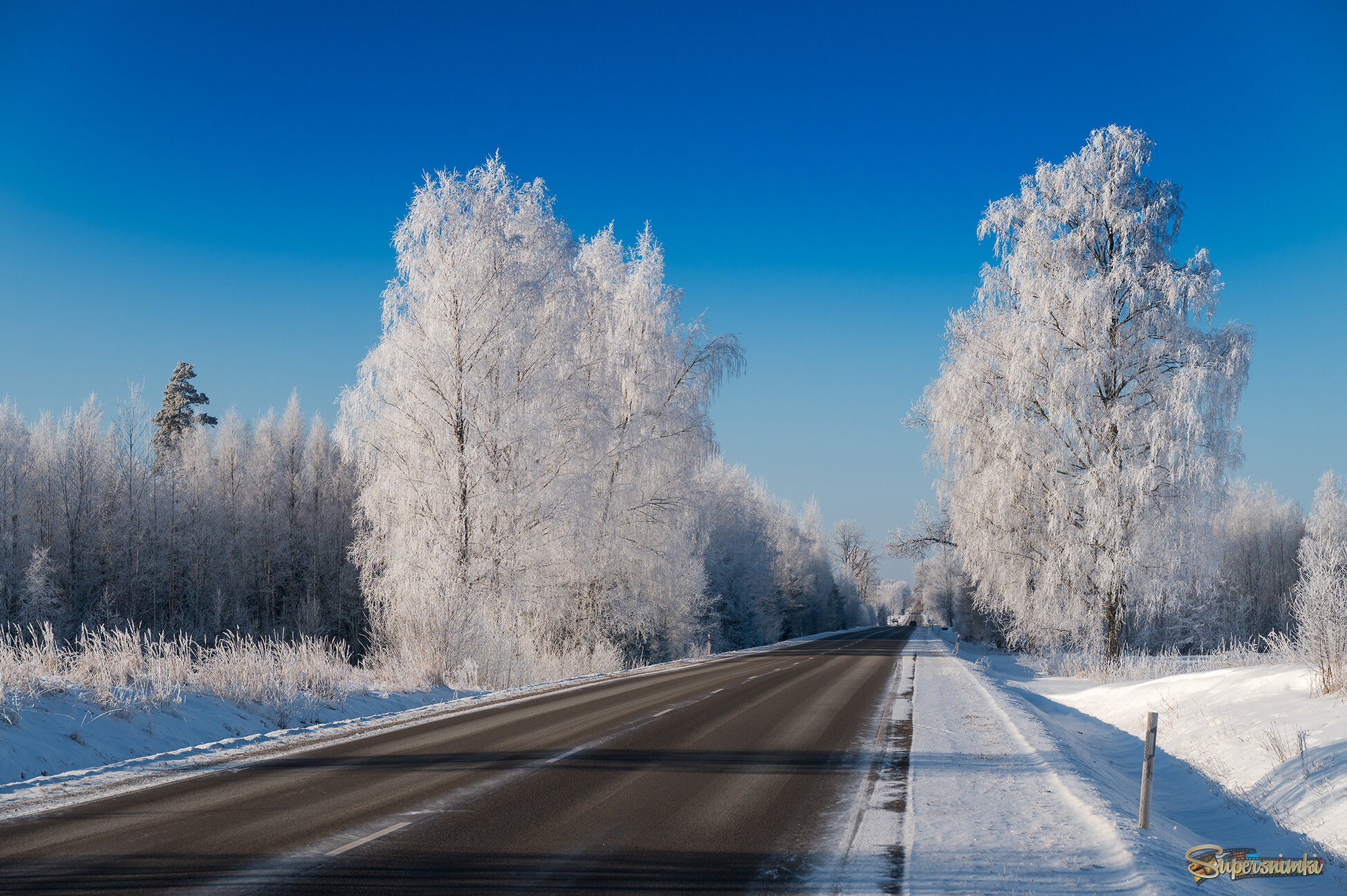 697df3696d2a6b099e45ab5f