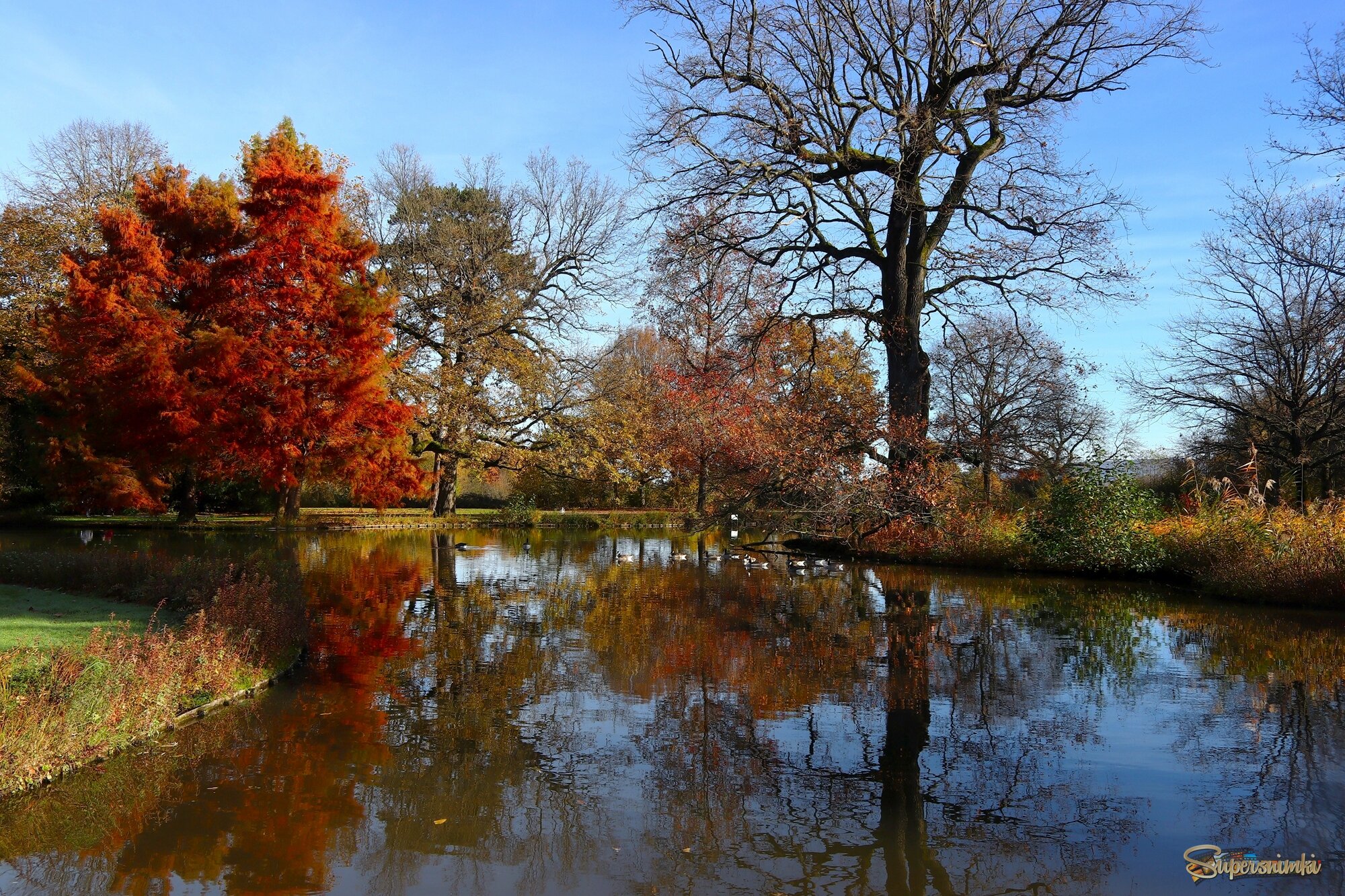 Осенний этюд