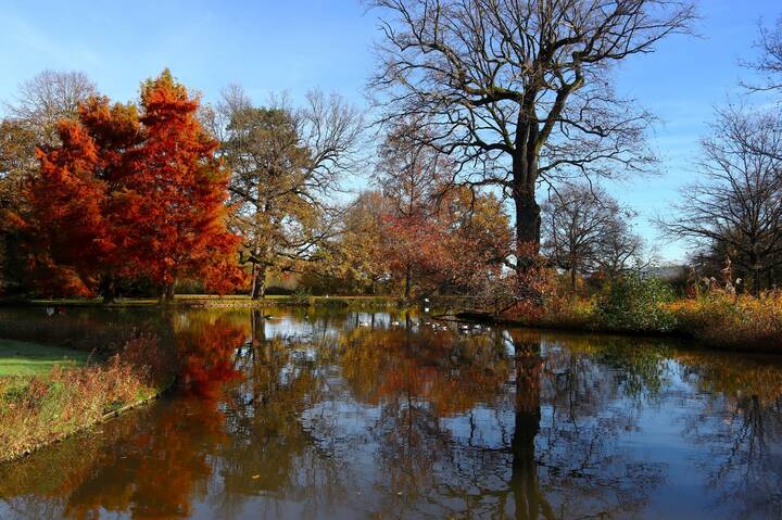 Осенний этюд