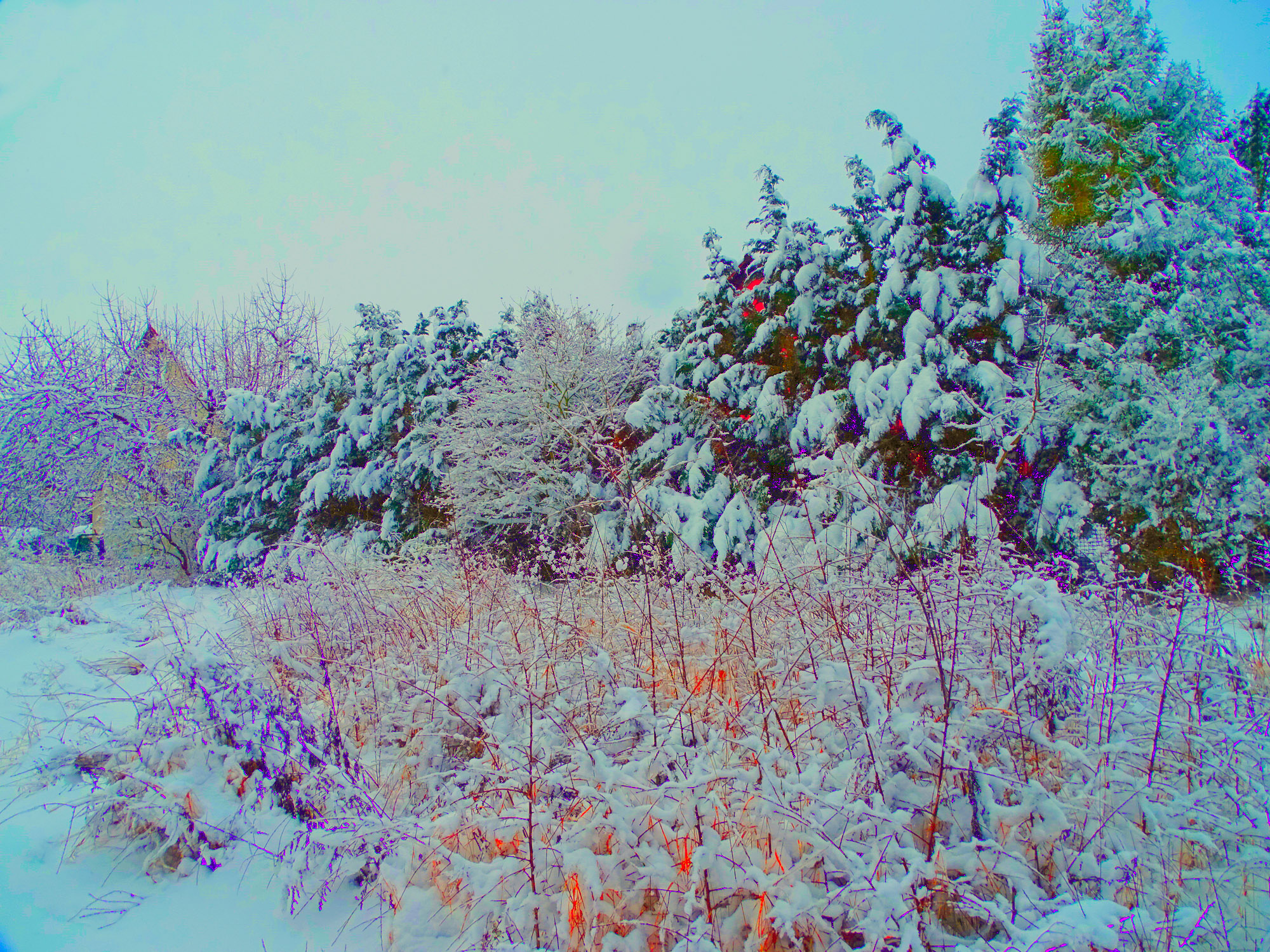 Морозный день.