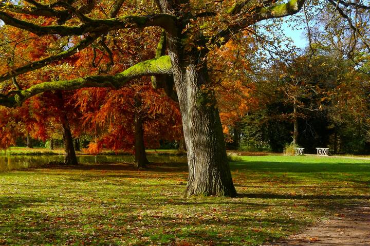 В осеннем парке