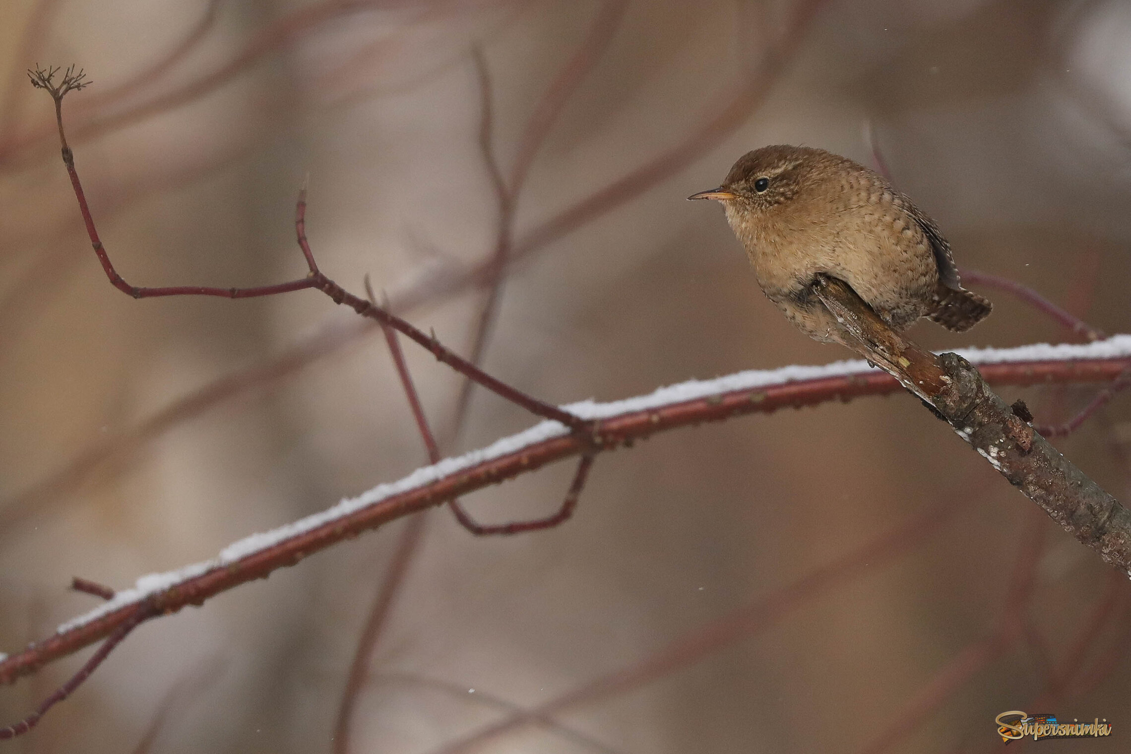 А я маленький такой...
