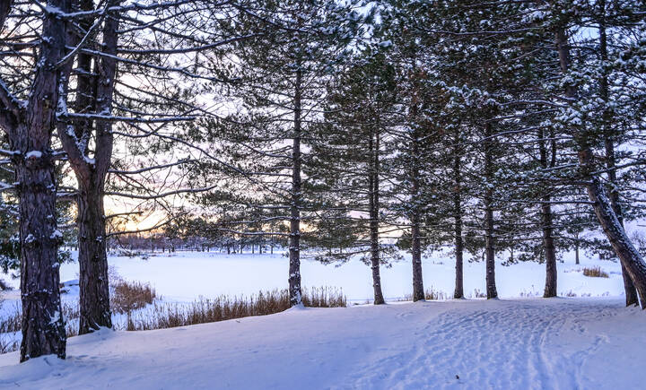Смеркается