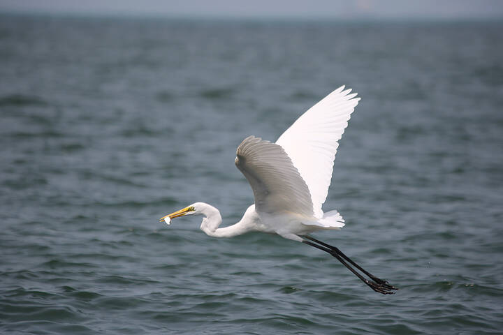 На море