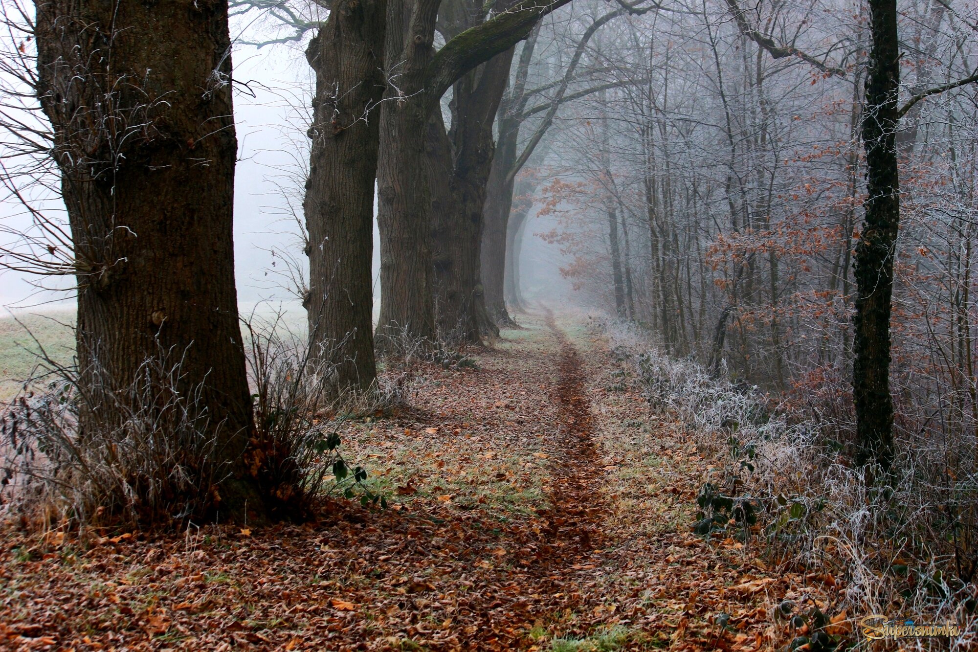Холодное утро
