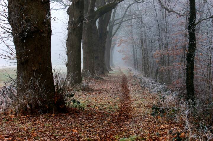 Холодное утро