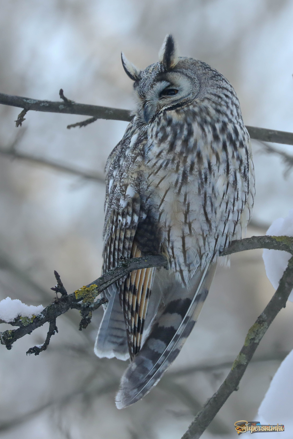 Не сплю я вовсе!