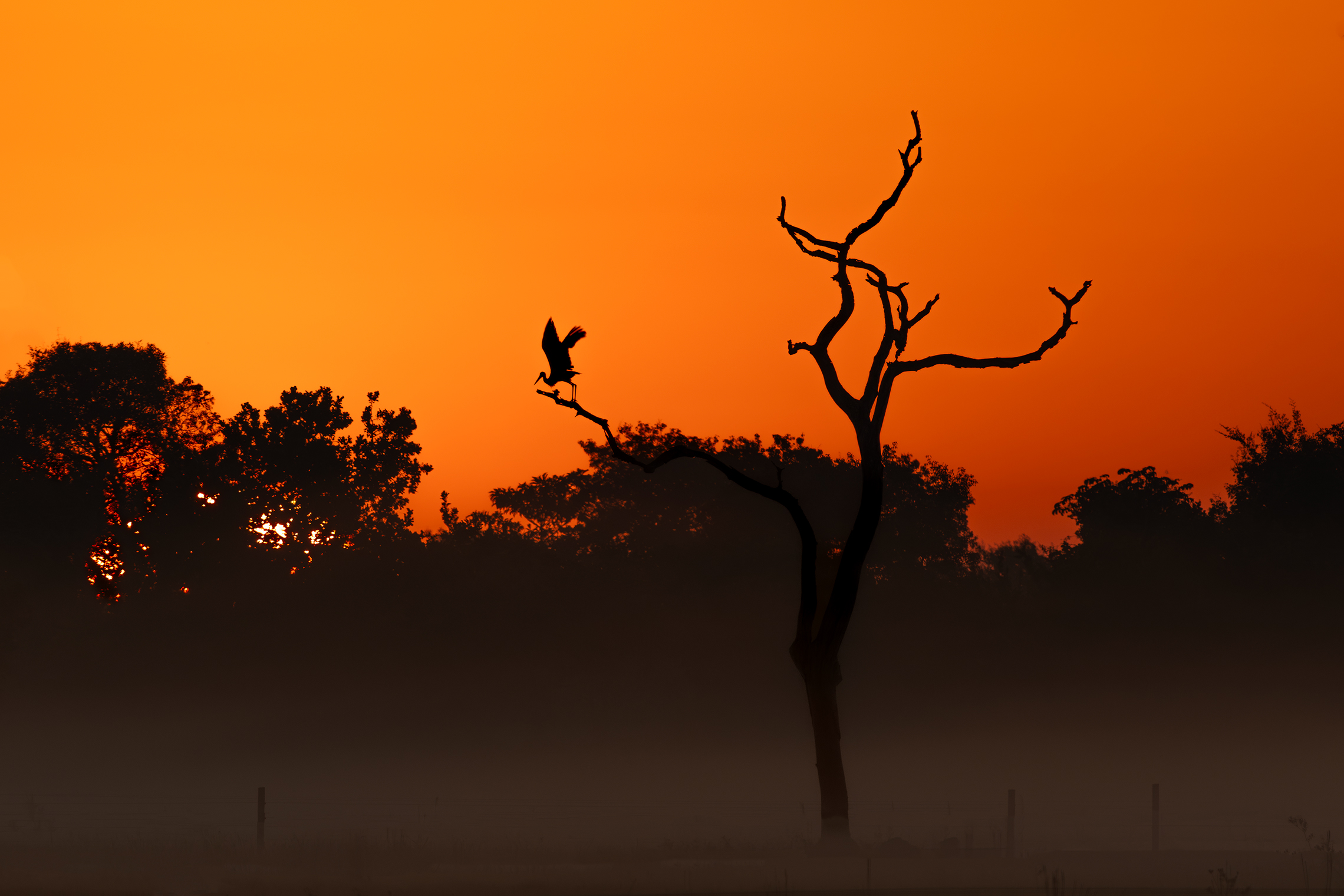 Солнце встает 