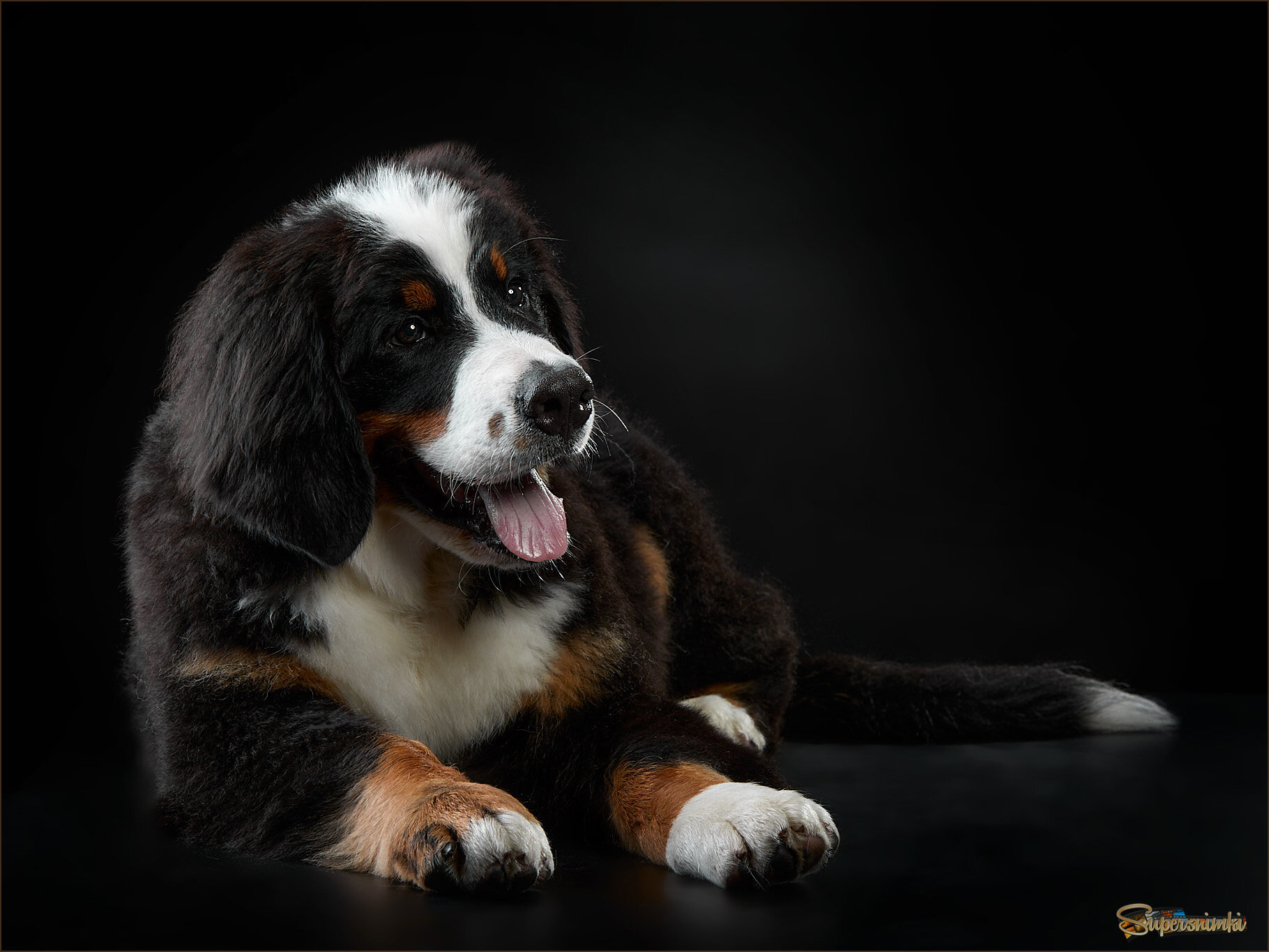 698250533cb5f680fc45ab60