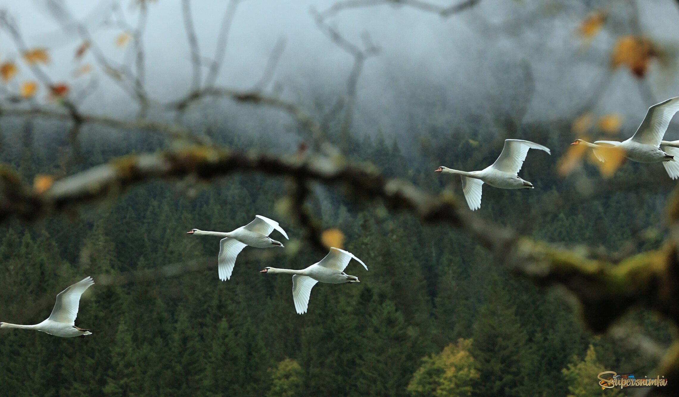 69822833afd7e6836d45ab61