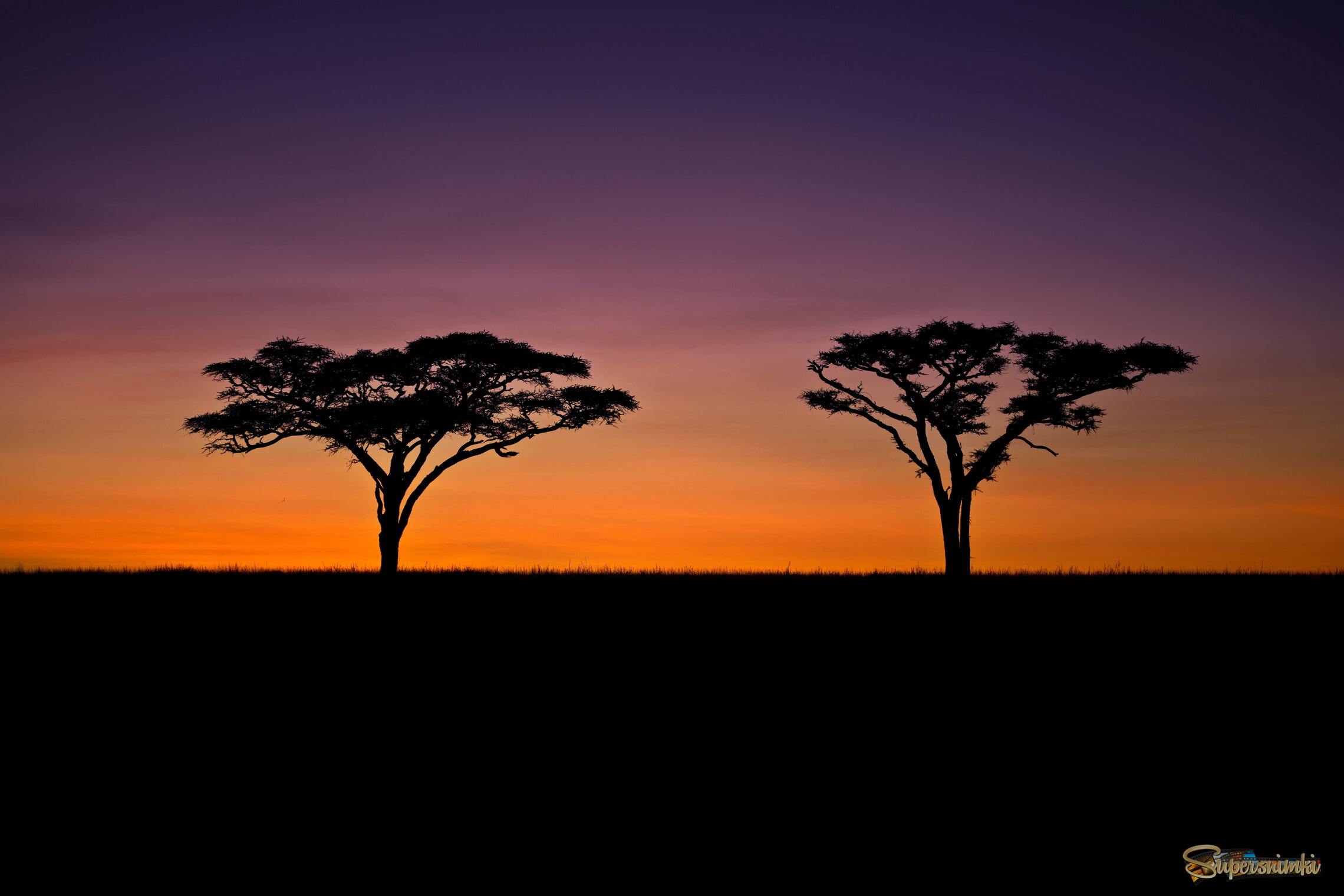 Рядом, но не вместе