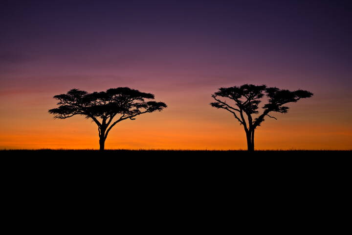 Рядом, но не вместе