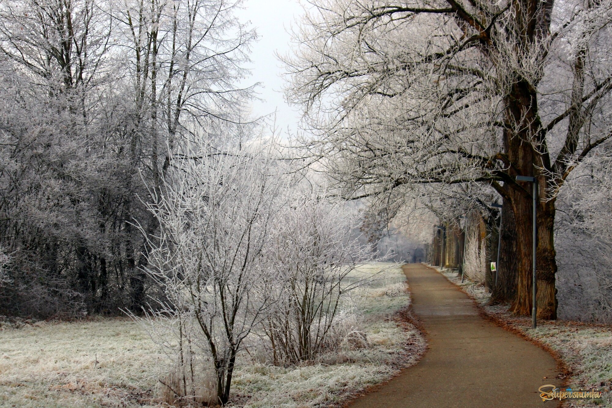 Морозный день