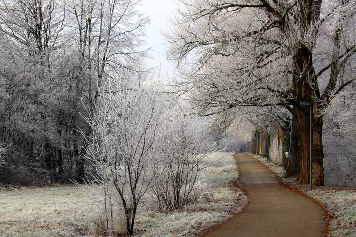 Морозный день