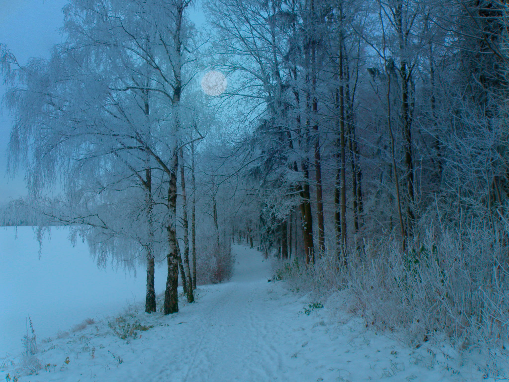 Морозная ночь.