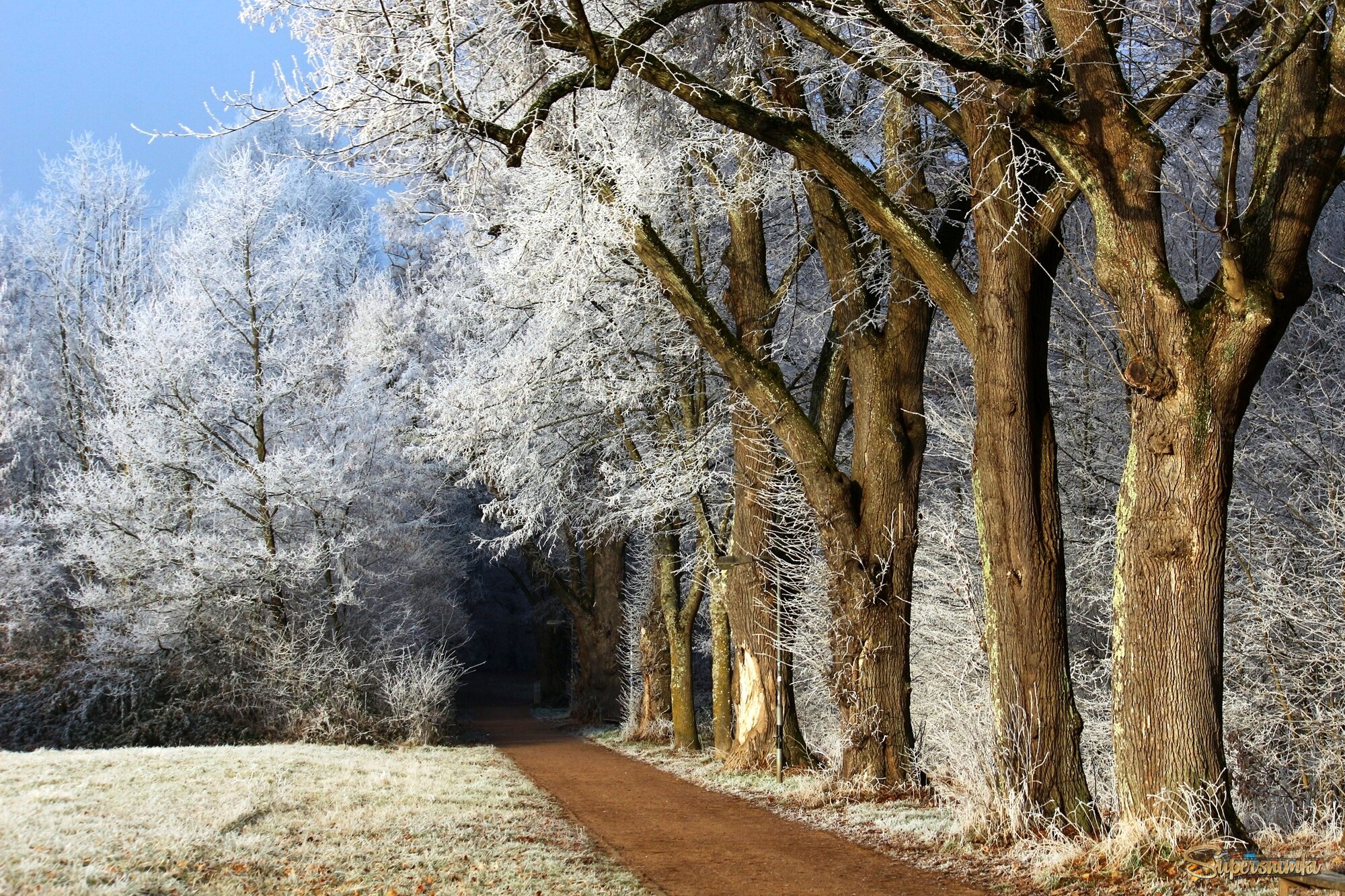 Зимнее утро