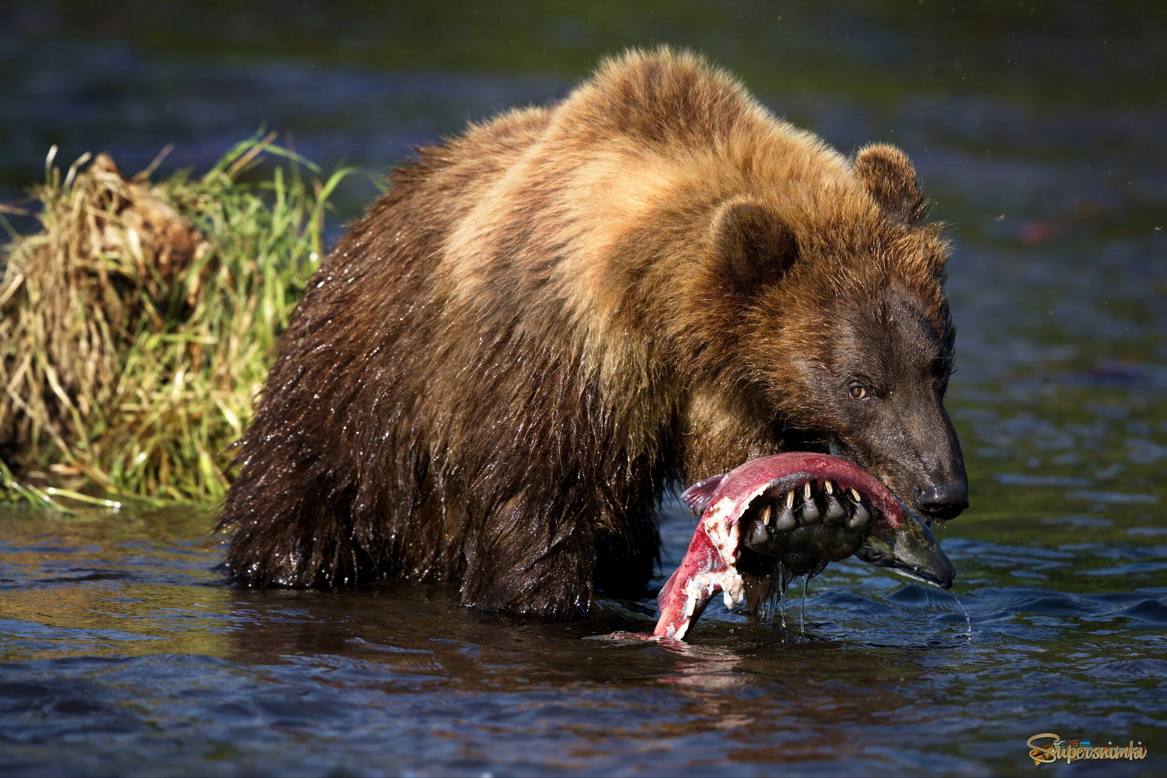 Хочешь, поделюсь с тобой!?