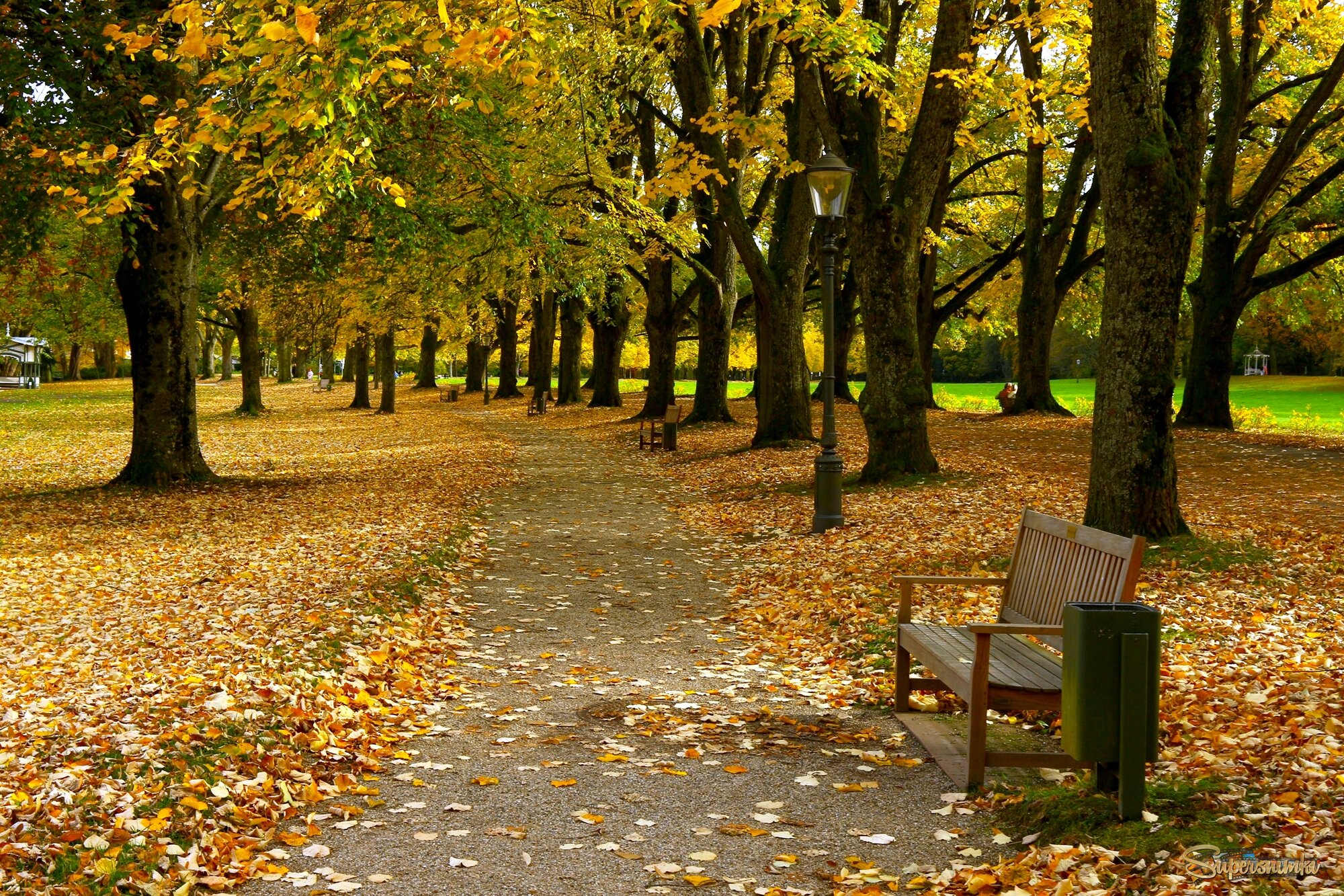 Лихтенталер аллее