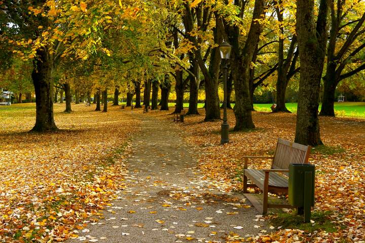 Лихтенталер аллее